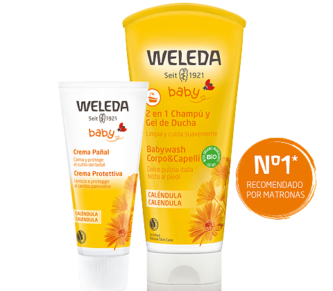 bodegon calendula