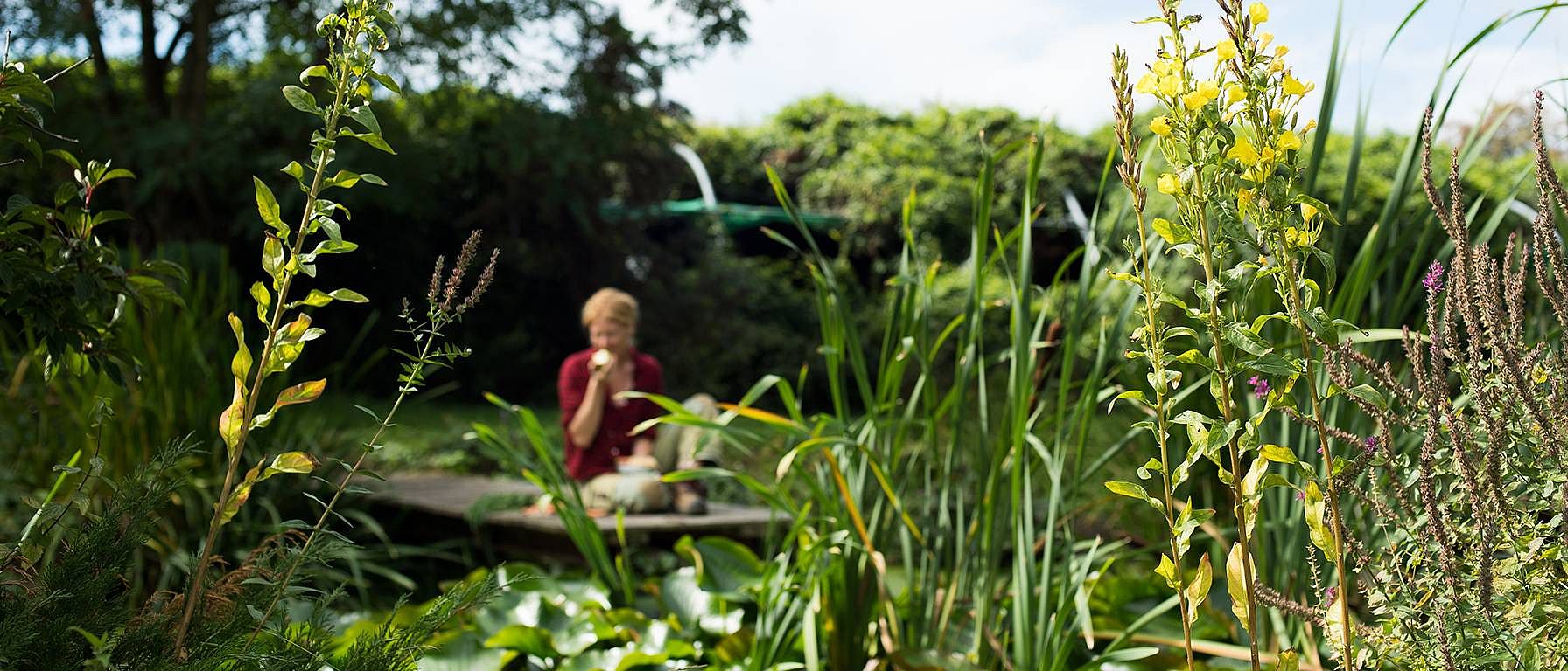 weleda garden