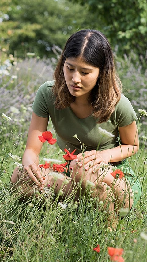 mujer cogiendo flores rojas