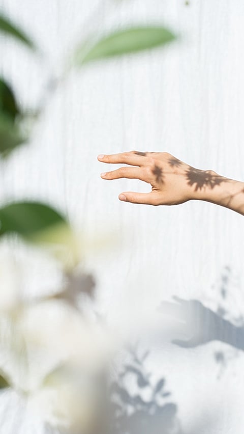 El brazo de una mujer con un patrón de sombra de una flor.