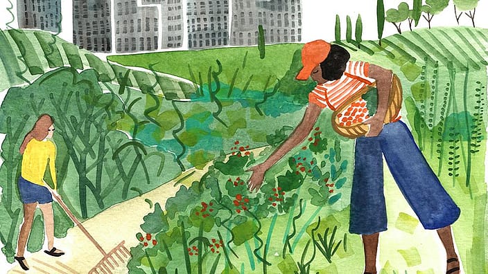 dibujo de dos mujeres trabjando un campo de cultivo