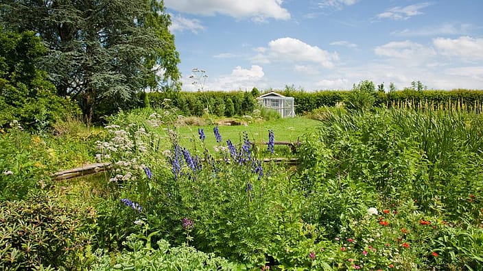 jardín de Weleda donde se ven plantas de lavanda y un invernadero al fondo