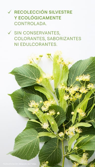 zumo de abedul de weleda ecologico, sin conservantes, colorantes ni saborizantes