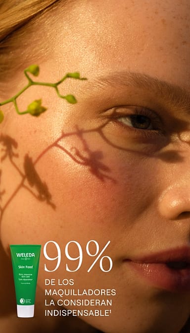 Skin Food