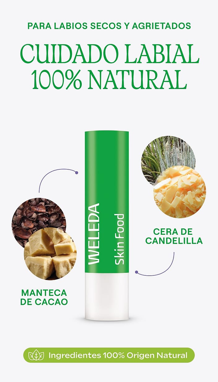 Skin Food Lip Stick 4,8g