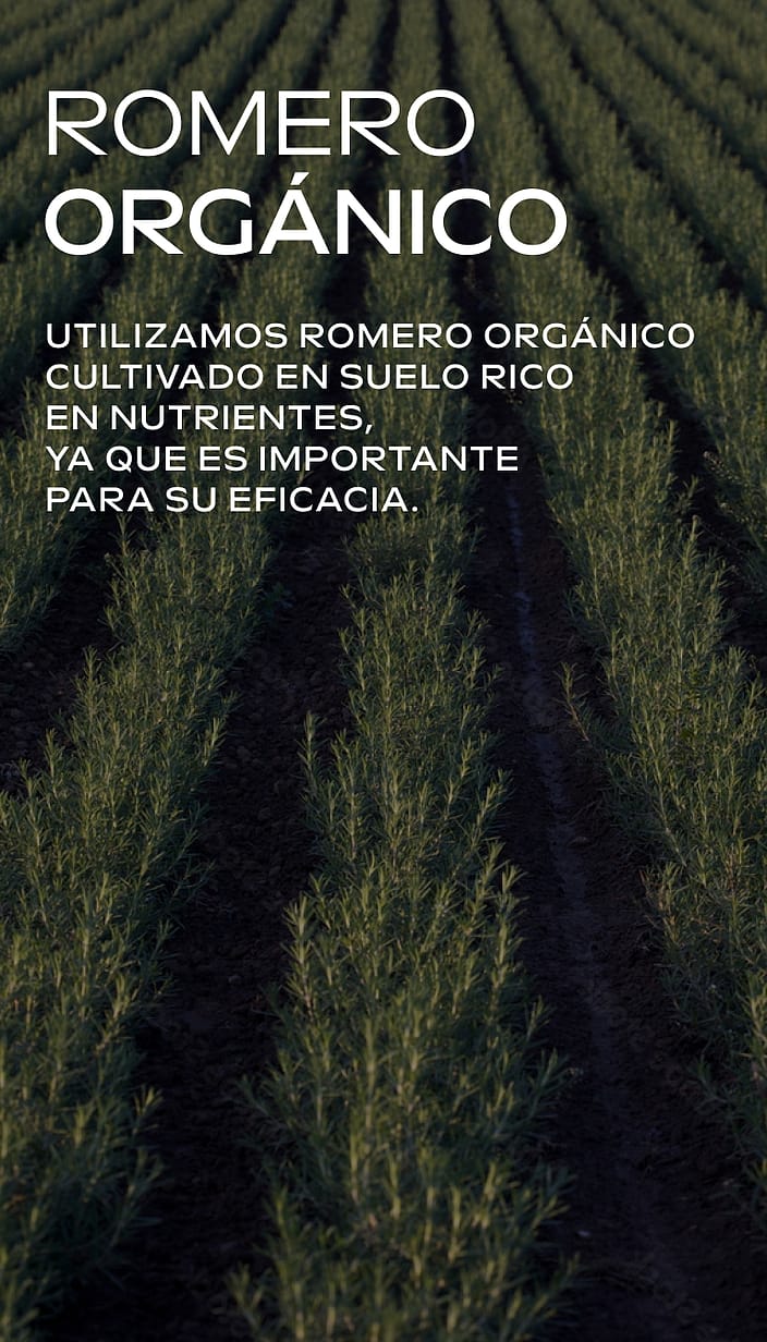 Acondicionador Revitalizante de Romero 150ml