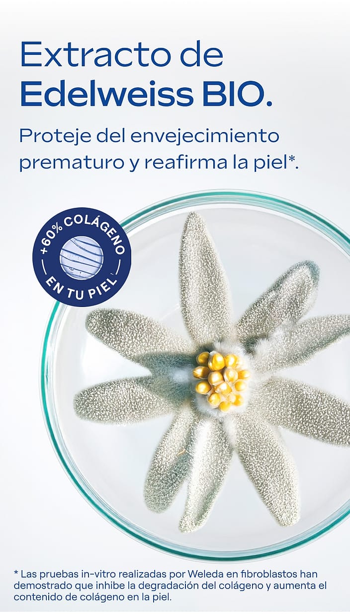 Rutina Redensificante - Contorno de Ojos + Crema de Día (40% Dto)