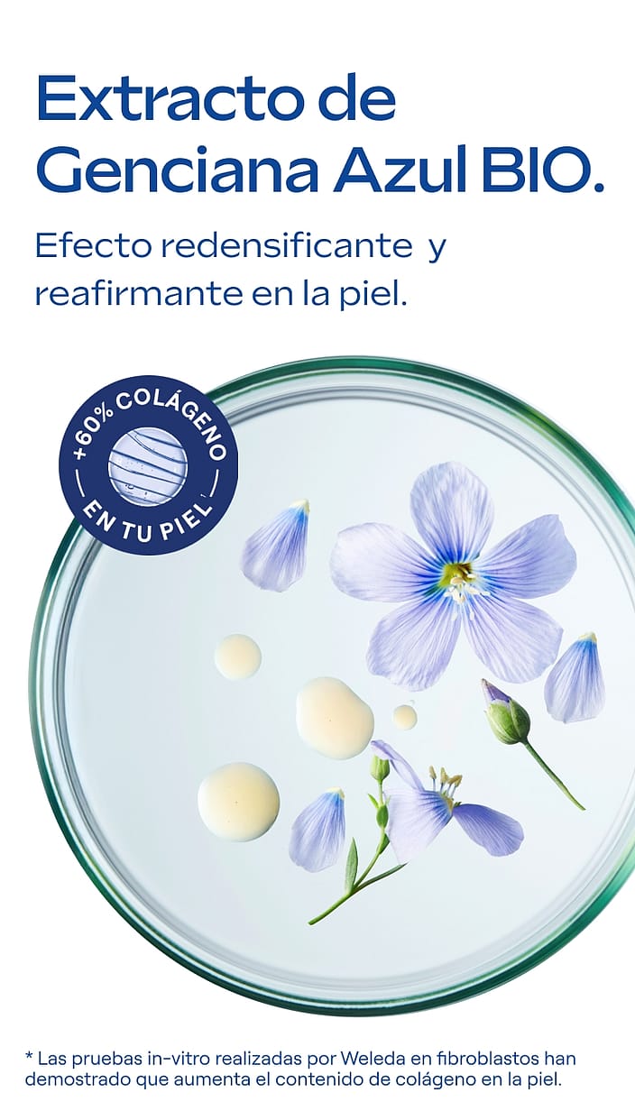 Rutina Redensificante - Contorno de Ojos + Crema de Día (40% Dto)