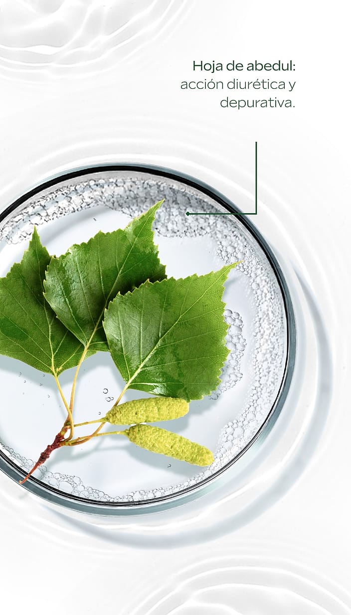 Aceite de Abedul para la Celulitis