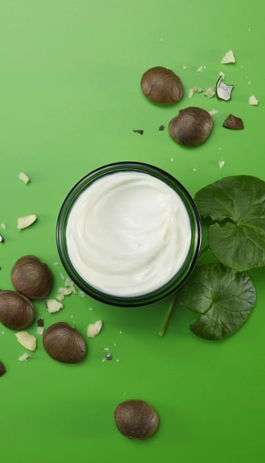 Skin Food Crema de Noche