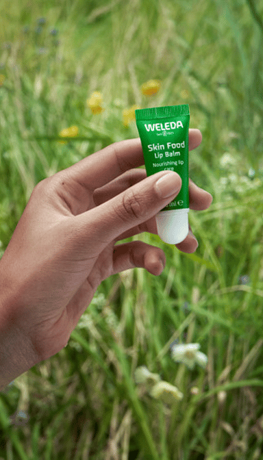 lip balm skin food de weleda en campo de flores