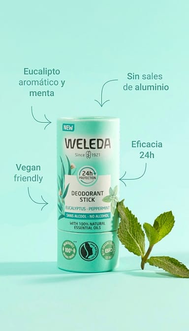 Desodorante Stick Eucaliptus