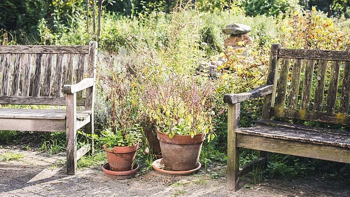 jardin