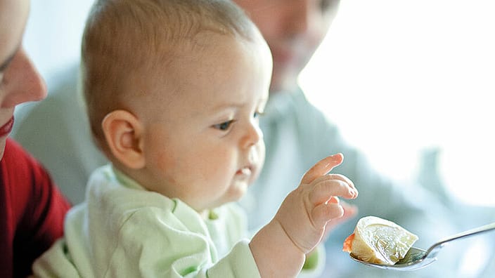 comida bebe