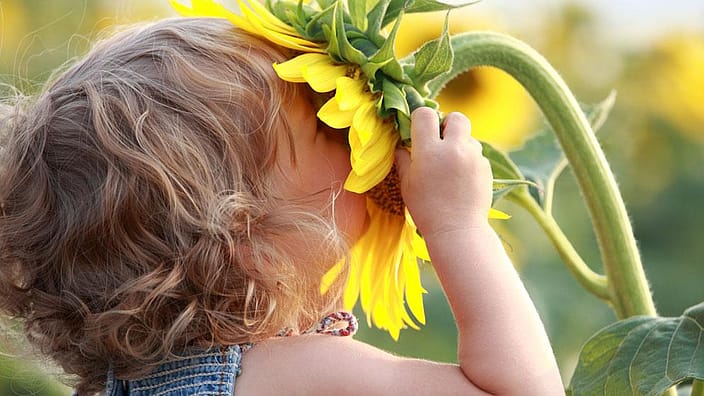 niño flor