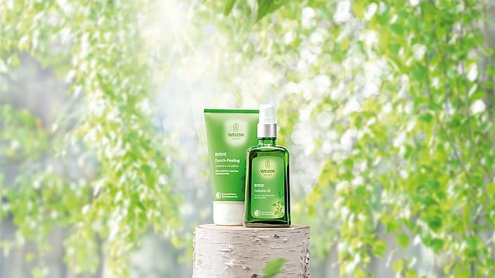 productos de abedul anticeluliticos
