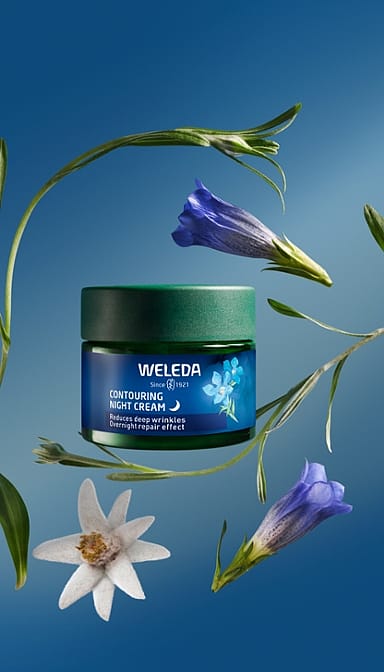 Crema de Noche Redensificante de Genciana Azul y Edelweiss