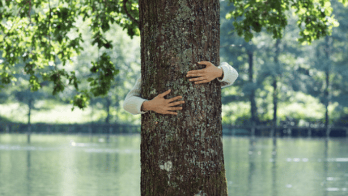 arbol 1