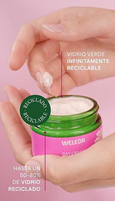 Crema de Noche Alisante de Rosa Mosqueta y Té Blanco