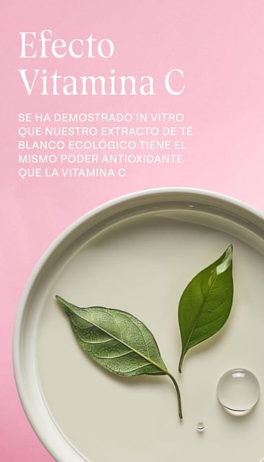 Crema de Noche Alisante de Rosa Mosqueta y Té Blanco