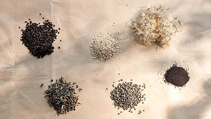 various seeds