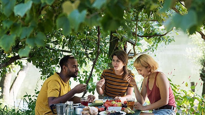 amigos de picnic