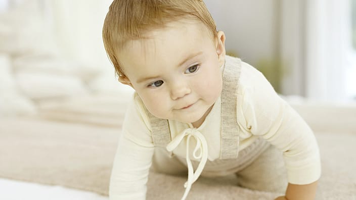 bebe