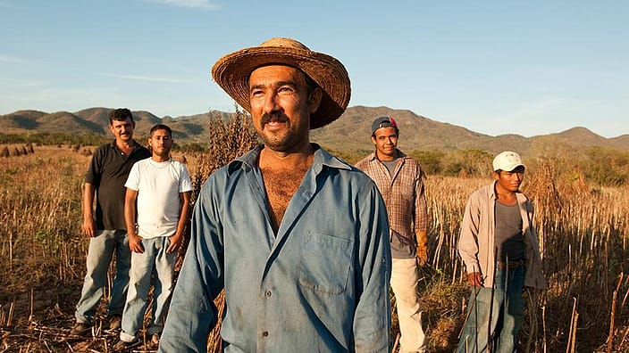 hombres en el campo