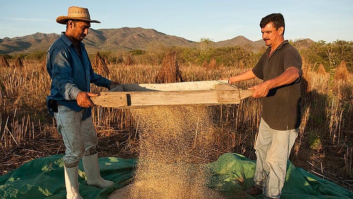 trabajadores campo abastecimiento sostenible