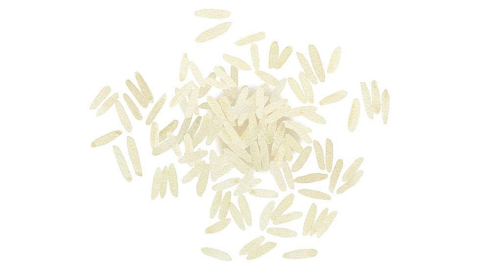 Oryza Sativa (Rice) Extract