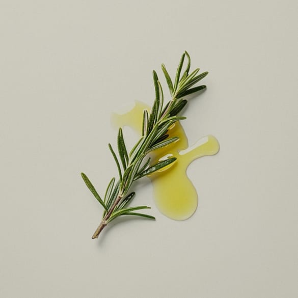 rama de romero junto al aceite que se consigue gracias a este ingrediente