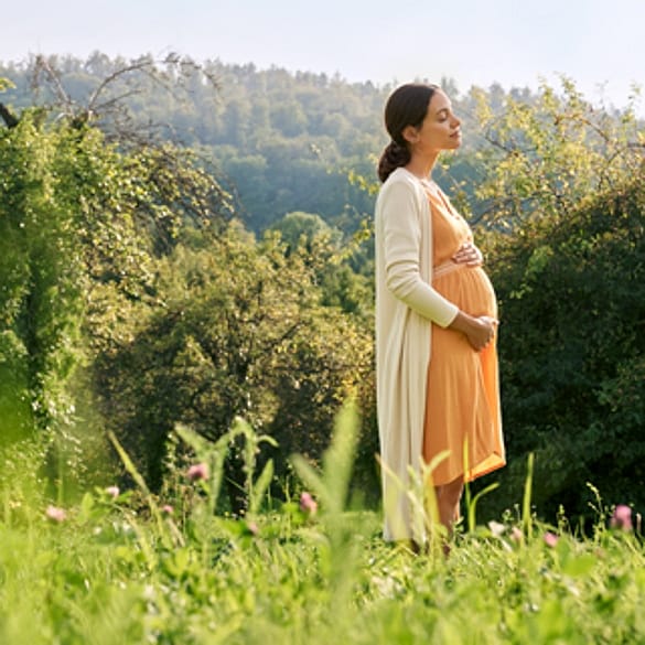 pregnancy_newsletter