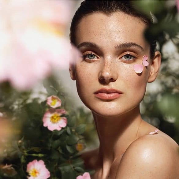 Complejo vegetal compuesto por Rosa Mosqueta BIO y Té Blanco Bio