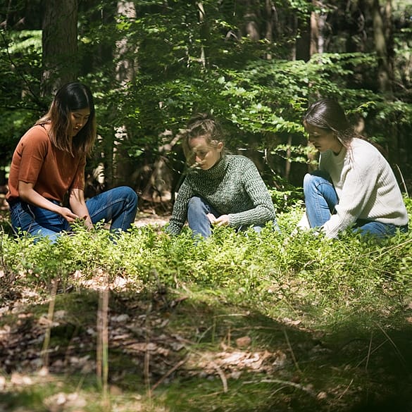 amigos en la naturaleza