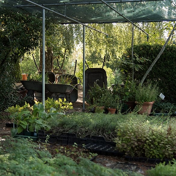 roofed plant beds