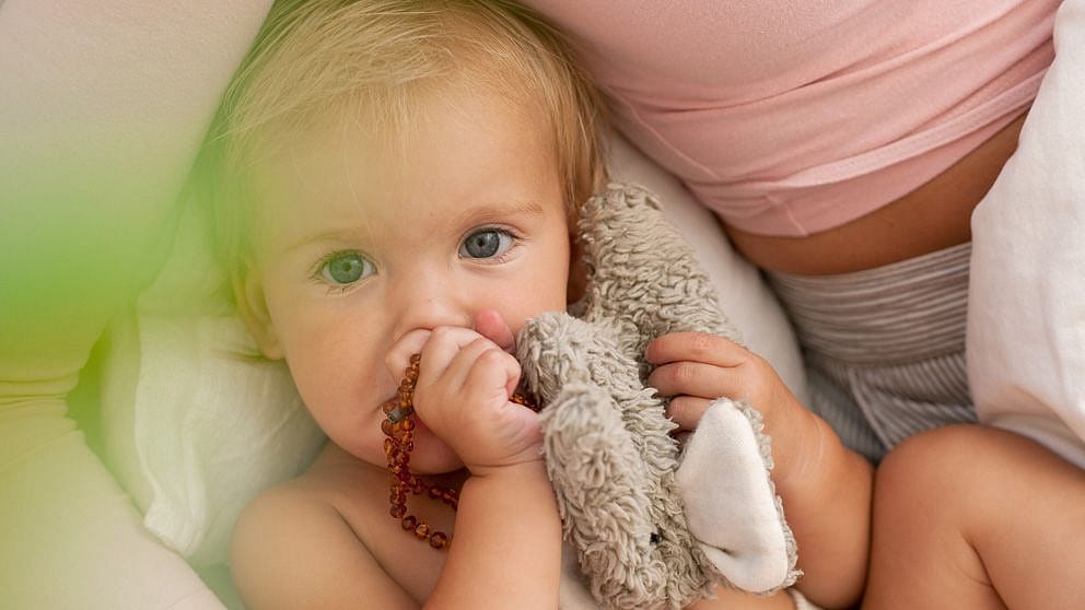 bebe
