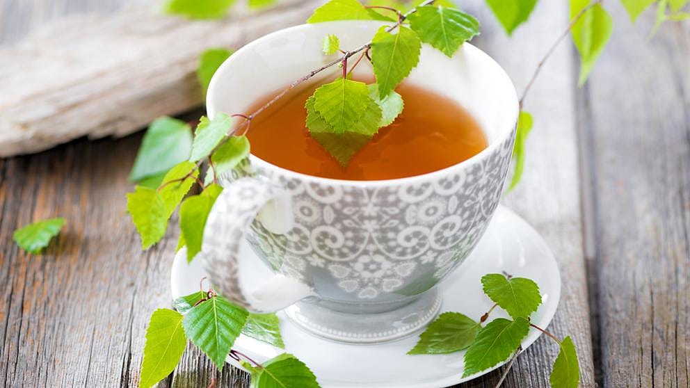 infusion para la celulitis de abedul para la celulitis