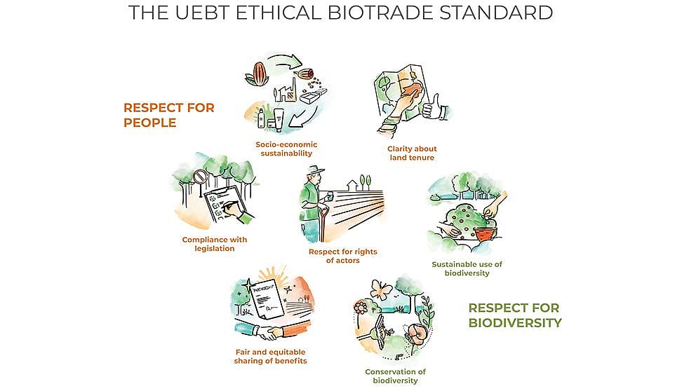 Diagrama UEBT donde se describen los diferentes procesos para conseguir ese comercio justo