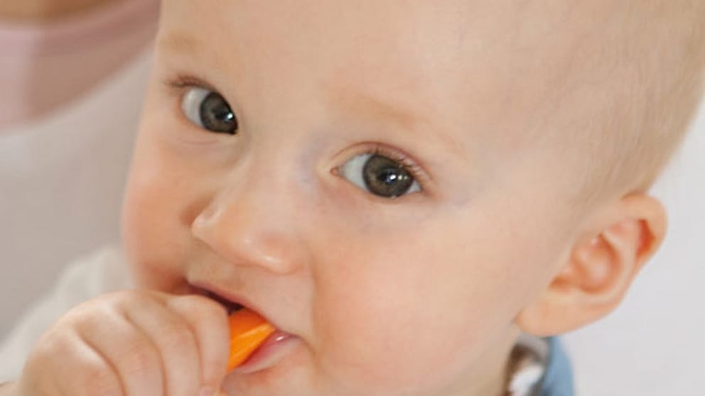 alimentos sólidos bebé