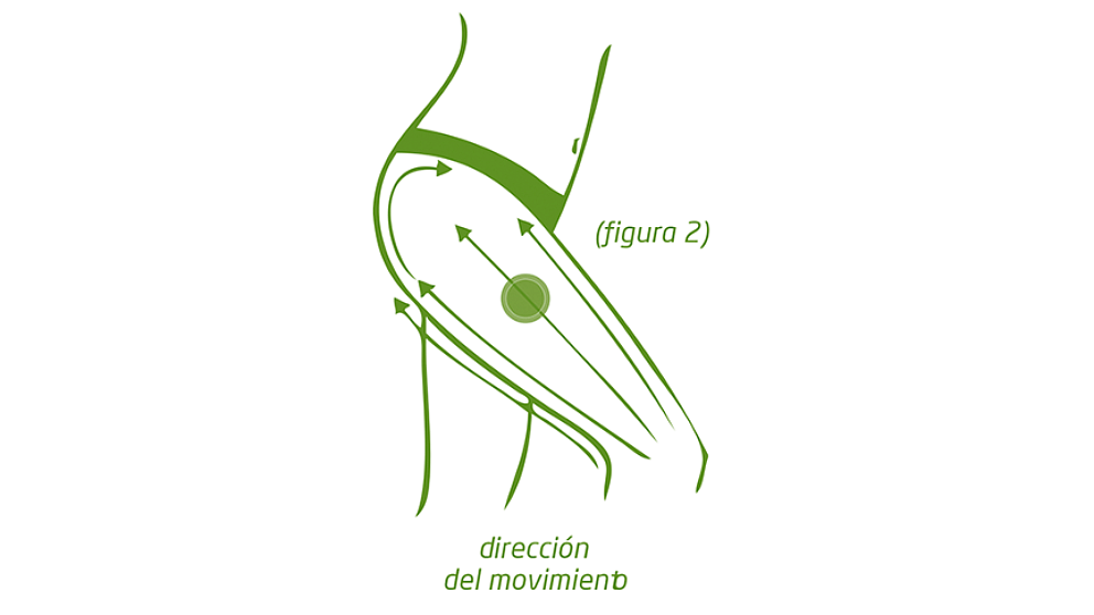 Paso 2: