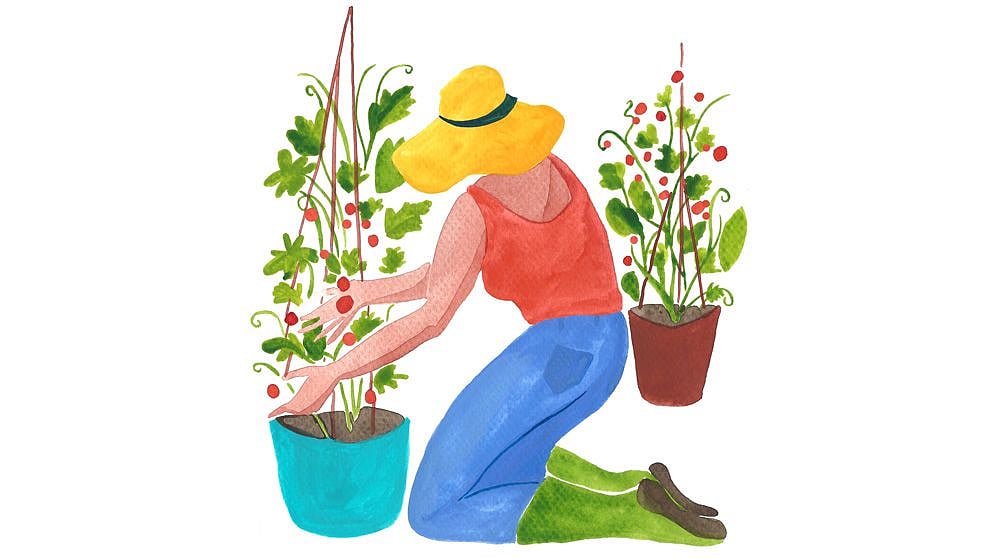 ilustracion capa protectora plantando